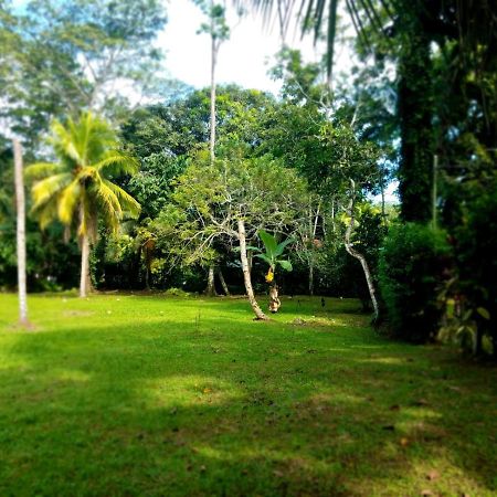 Casita Amarilla Villa Cahuita Luaran gambar