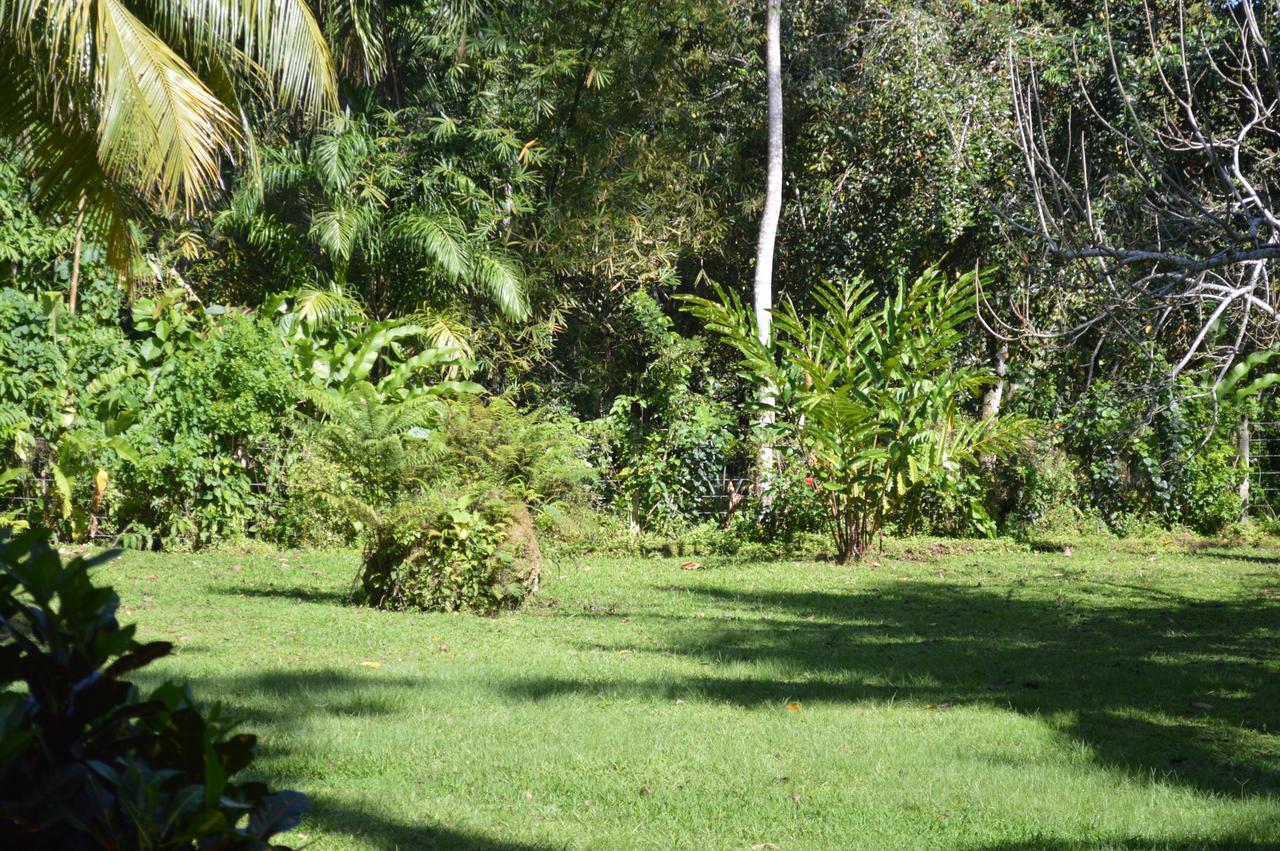 Casita Amarilla Villa Cahuita Luaran gambar