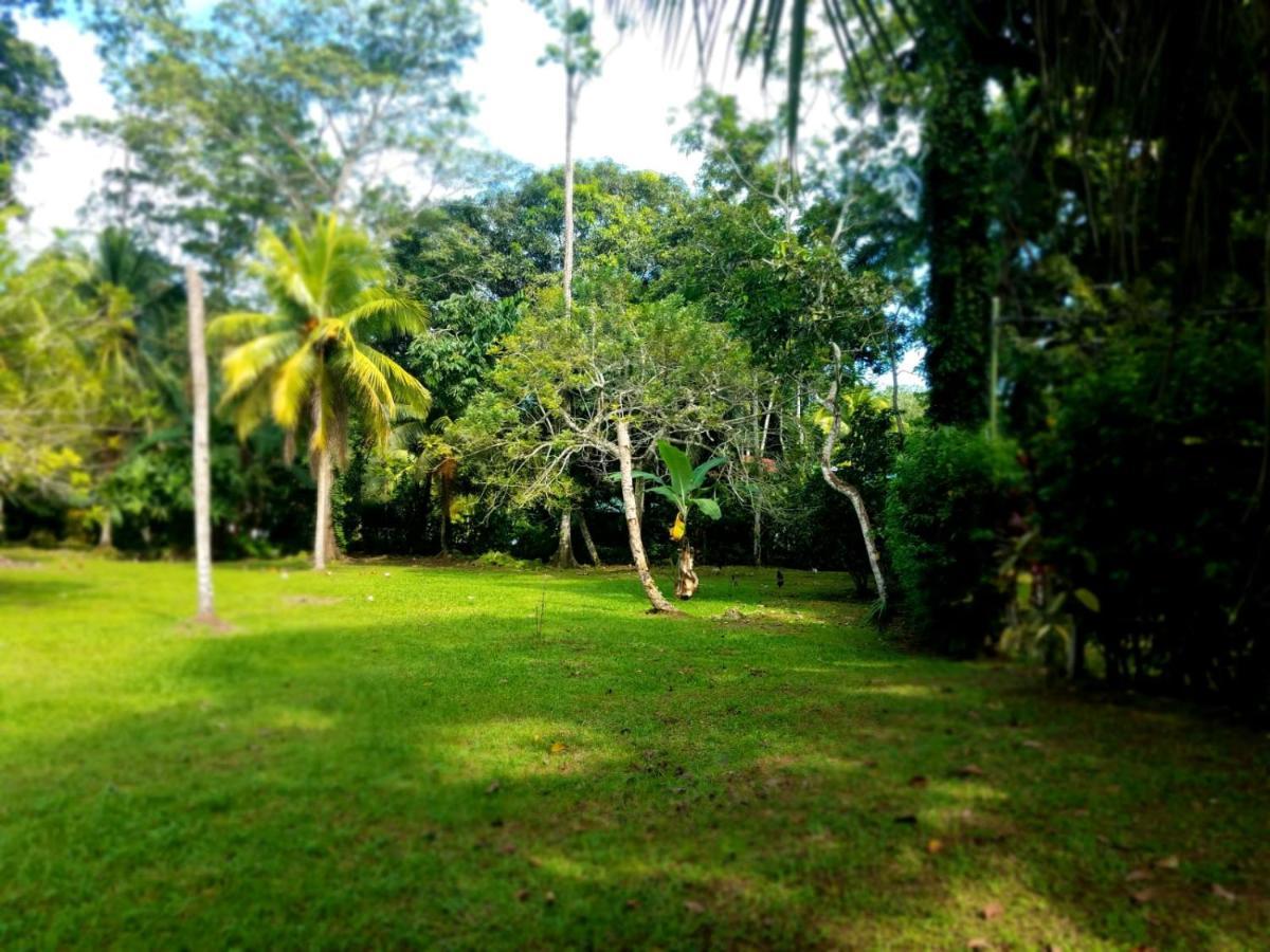 Casita Amarilla Villa Cahuita Luaran gambar
